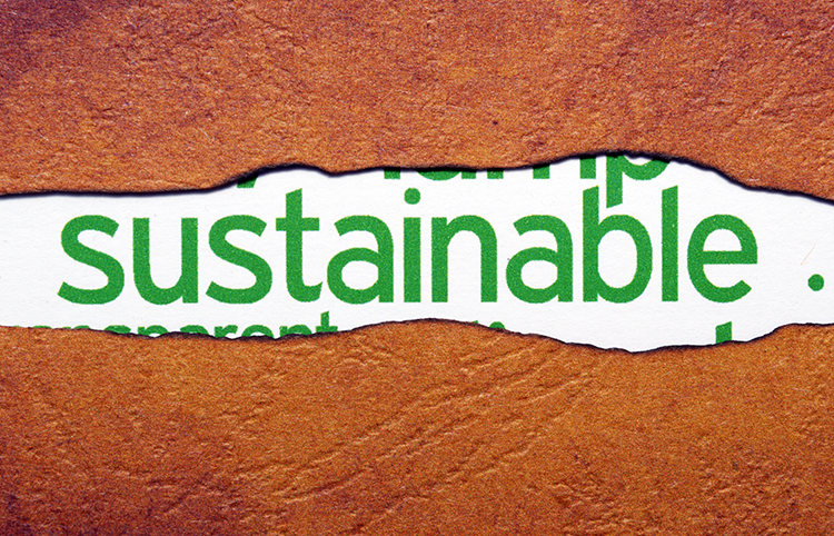 sustainable-text-on-torn-paper